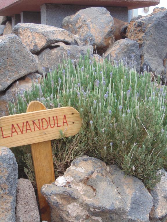 Landhuis Soleario
