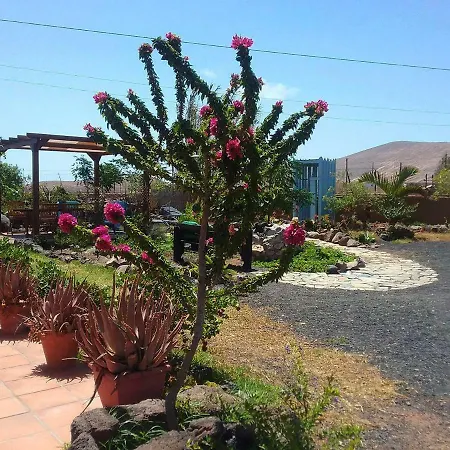Casa Rural Soleario La Oliva Exterior photo