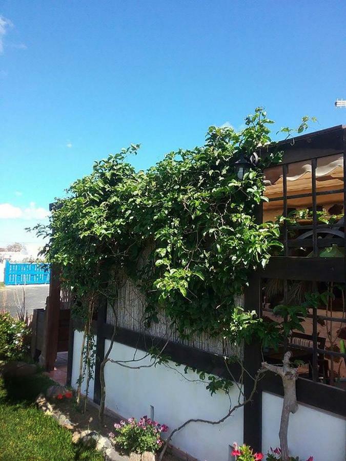Country house Soleario