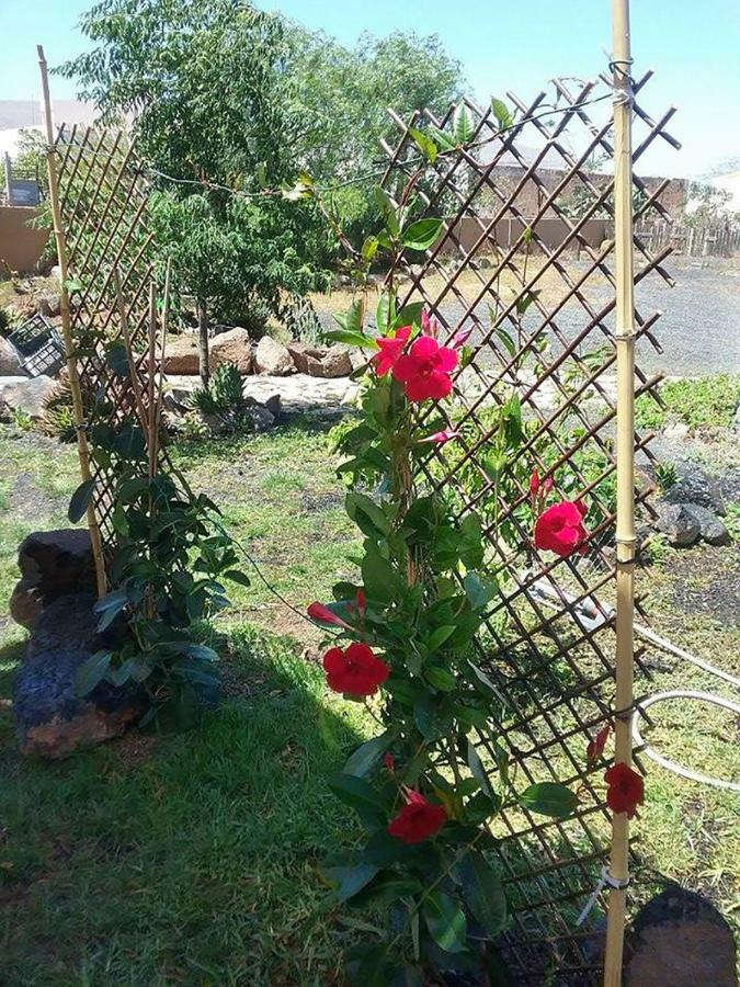 Soleario Country house La Oliva